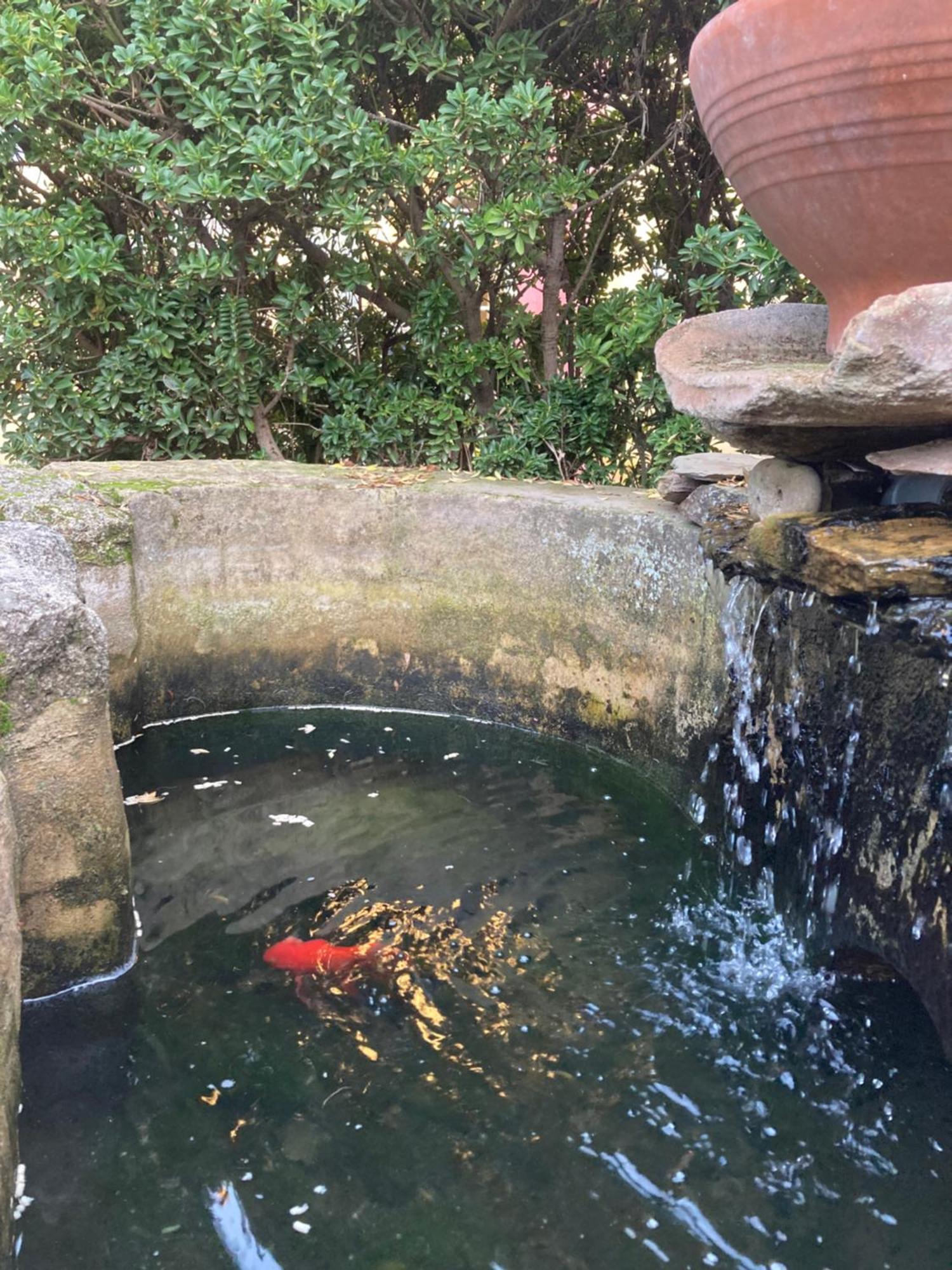La Roca de la Sierra Casa Rural Valdevilano מראה חיצוני תמונה